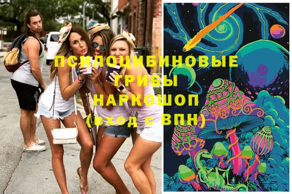 герыч Новозыбков