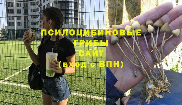 герыч Новозыбков