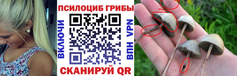Галлюциногенные грибы ЛСД  дарнет шоп  Губаха 