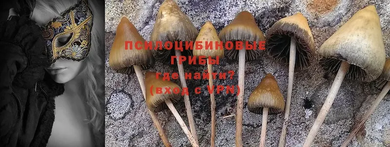 Псилоцибиновые грибы Magic Shrooms  Губаха 